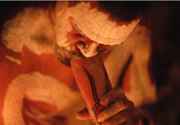 Haunting sounds of the didgeridoo in the rainforest darkness 