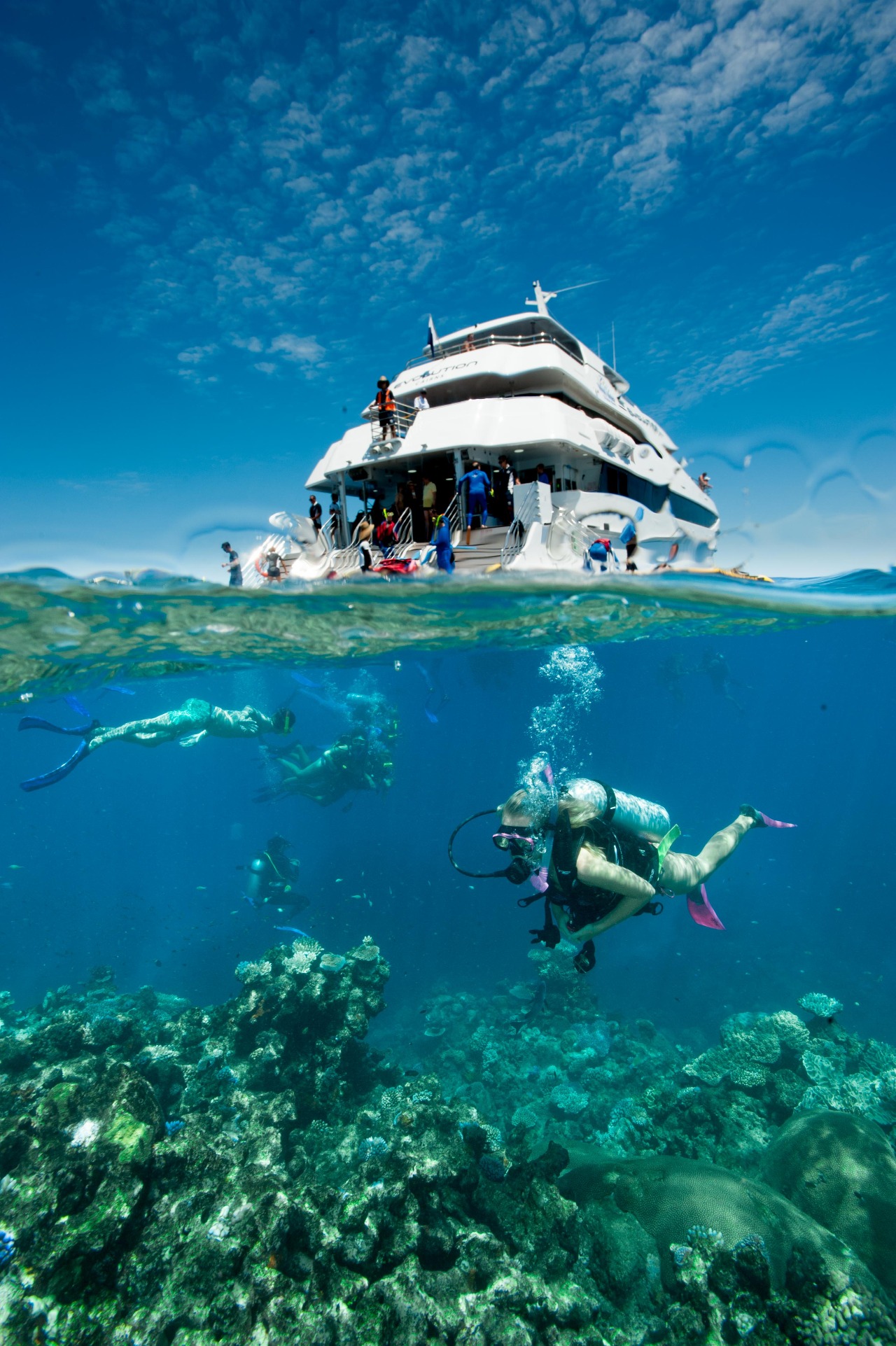tours for the great barrier reef