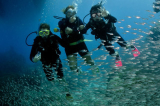 Introductory dive included