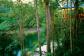 Treehouse Restaurant - Silky Oaks Lodge