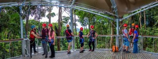 Jungle Surfing Canopy Tours - The Grandstand