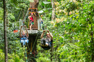 Jungle Surfing Canopy Tours | Final Span 95m