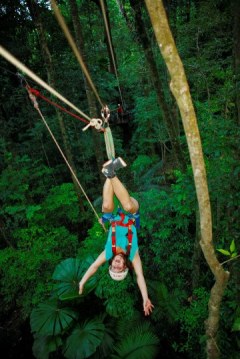 Jungle Surfing Cape Tribulation | Day Activity From Port Douglas North Queensland | Teenagers Love A Bit Of Adventure