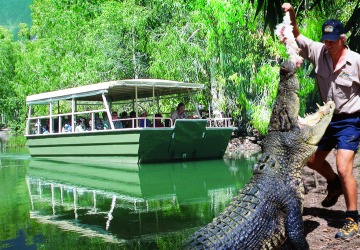 Lagoon Boat Ride amongst Crocodiles