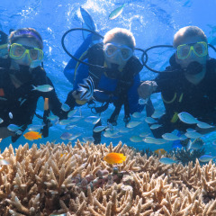 Introductory & Certified diving on the Great Barrier Reef | Optional extra