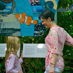 Learn all about the Great Barrier Reef on Green Island