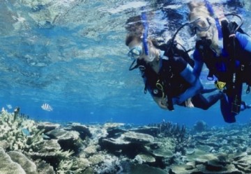 Great Barrier Reef Introductory Diving | Reef Day Trip