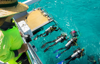 Learning to Scuba Dive - Great Barrier Reef Cairns