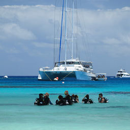 Cairns snorkelling tour, Great Barrier Reef Trip - Michaelmas Cay