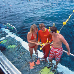 Snorkel tuition provided | Outer Great Barrier Reef trip departing from Port Douglas
