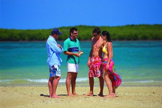 Marine Wildlife Presentations | Wavedancer Low Isles
