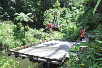 Minjin Jungle Swing at AJ Hackett