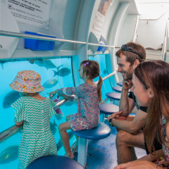 More To Do At Moore Reef Platform | Semi-Submersible Submarine Tour