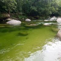 Mossman Gorge Afternoon Private Charter