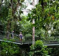 Mossman Gorge Tours - Small Group Tours - Luxury overland vehicle for Cape Tribulation