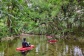 Mossman River River Drift From Port Douglas