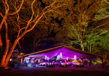 Multi award winning night time attraction in Port Douglas