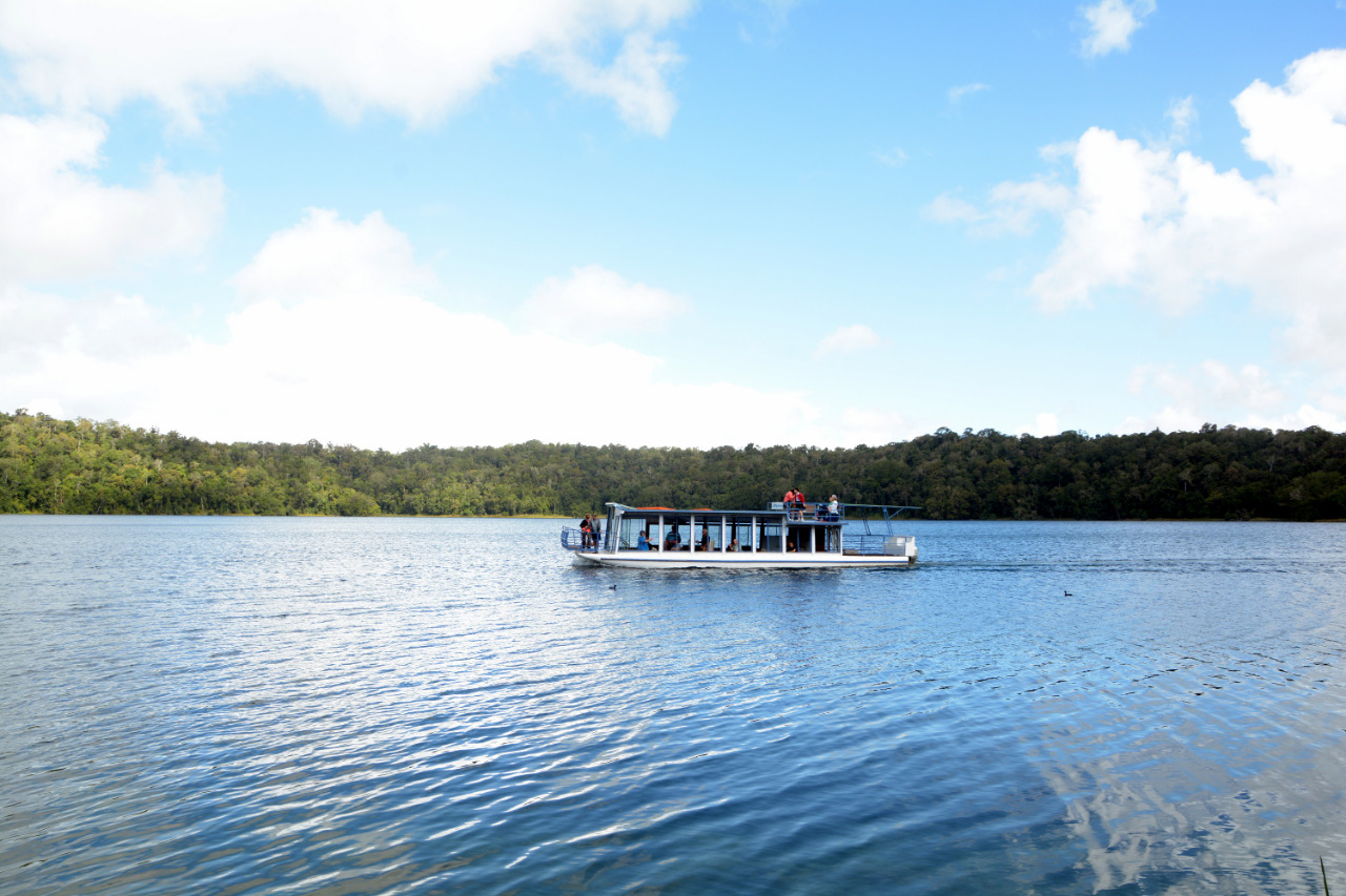 Cairns Hiking Tours Daintree Rainforest Atherton Tablelands Nature