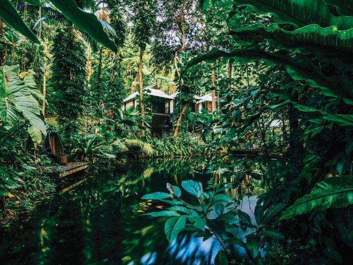 Nestled amongst the Rainforest - Daintree Eco Lodge & Spa