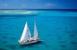 Great Barrier Reef Cruise to Michaelmas Cay 