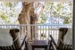 Ocean View King Suite - Palm Cove Adult Only Accommodation | Reef House Palm Cove
