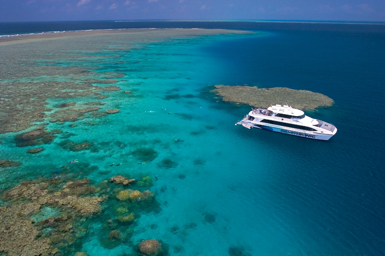 reef day trips from port douglas