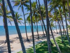 Palm Cove Beach with Palm Trees | Cairns Beaches