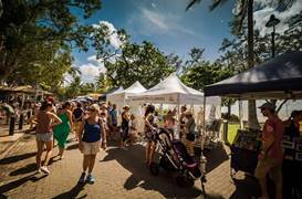 Palm Cove Markets