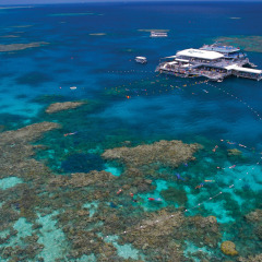 Permanent pontoon on the Great Barrier Reef