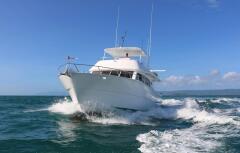 Port Douglas Fishing Charter Boat