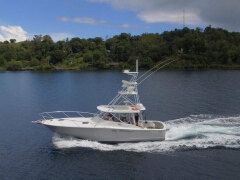 Port Douglas Fishing Charters