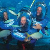 Port Douglas Reef Tours - Helmet Diving,