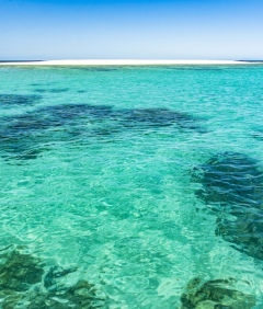 Port Douglas Snorkel Tour - Luxury Reef Trip