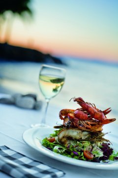 Port Douglas Tours & Attractions