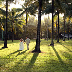 Port Douglas wedding couple strolling thru the grounds Port Douglas Resort