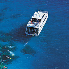 Poseidon Port Douglas Great Barrier Reef Tours