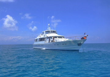 Private boat charters Port Douglas Great Barrier Reef Australia