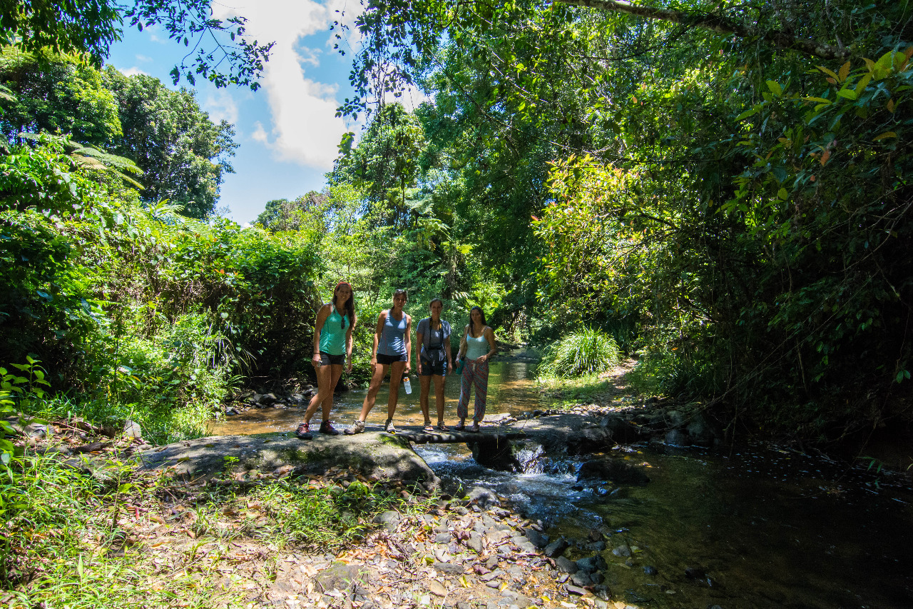 Daintree Rainforest Exclusive Private Wildlife Charter Tour