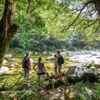 Private Daintree Tour Including Mossman Gorge