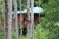 Private Treehouses  - Cairns' Atherton Tablelands Accommodation