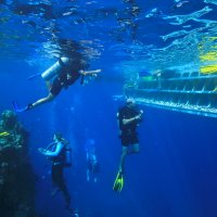 Pure dive trips on the Great Barrier Reef in Australia 