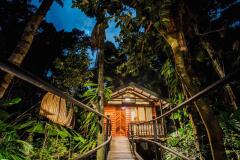 Rainforest Cabin - Daintree Wilderness Lodge