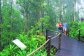 Rainforest stops on skyrail