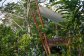 Rainforest Retreat Treehouse on the Cairns Atherton Tablelands