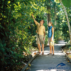 Spend some time exploring the rainforest walks on Green Island in Queensland Australia