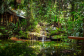 Rainforest Waterfall