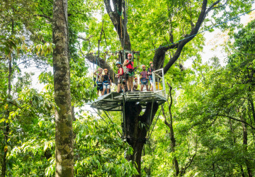 Ready, Set, Leap! - Daintree Cape Tribulation Ziplining Tour