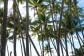 Reef House Adult Retreat Palm Cove