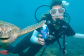 Reef Trips Palm Cove - Dive & Snorkel Tour
