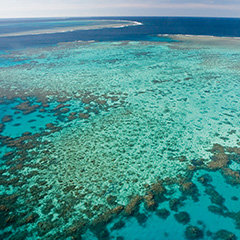 Port Douglas Great Barrier Reef
